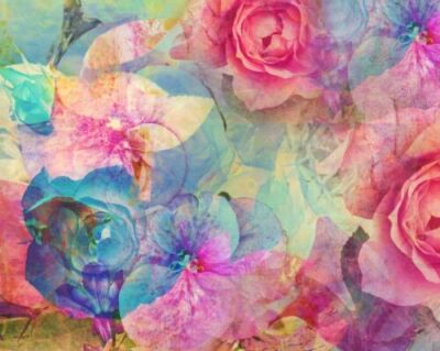 OhPopsi WALS0124 Memories Wall Mural Floral Flowers NEW 