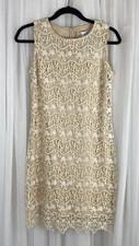 Belle Badgley Mischa Women's Size 4 Ivory Beige Lace Sleeveless Short Dress New