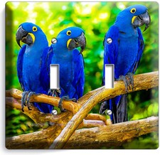 HYACINTH TROPICAL BLUE MACAW LOVE BIRDS PARROTS DOUBLE LIGHT SWITCH PLATE DECOR