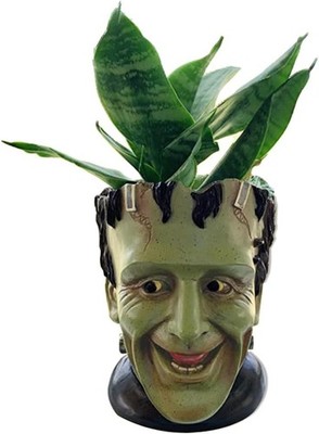 Funny Head Planter Succulent Pot with Drainage Hole Resin Desk Storage Gift Idea