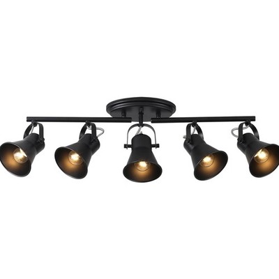 5-Light Track Lighting Kit,Black Semi Flush Mount Ceiling Light with 5 Rotata...