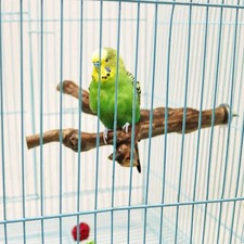 Parrot Standing Perch Wild Grape Wood Bite Claw Grinding Bird Cage Accessory
