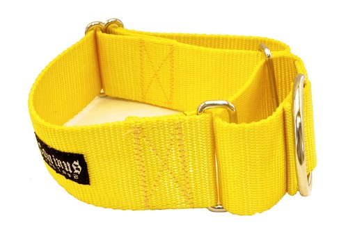 2 Inch Width Martingale No Slip Dog Collar Heavy Duty 2" Width Walking Collars - Picture 13 of 28