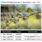Bild 7 von 13