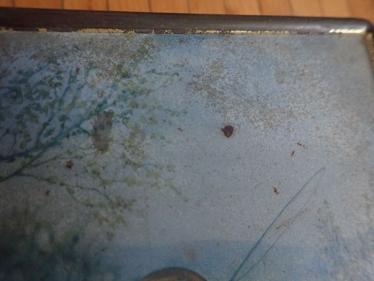 Picture 14 of 15