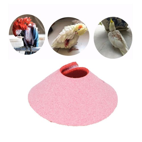 Bird Neck Sleeve Bird Recovery Collar Bird Cloak Parrot Elizabethan Circle NEW - Picture 7 of 12