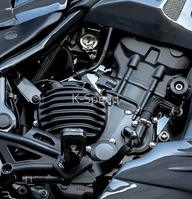 Juego de 2 cubiertas de motor Diablo negras para Honda Rebel 300cc 2016-2019 Foto 4 de 4