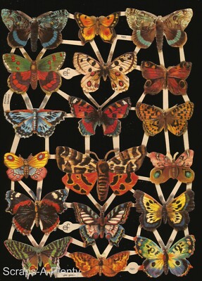 German Embossed Vintage Style Scrap Die Cut - Colorful Butterfly Moth  EF7221