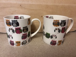 Arthur Price Owl Mugs Cups Fine Bone China x 2 Pre owned
