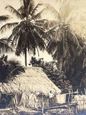 Tropical GRASS HUTS and PALM TREES   Landscape With Person   1920 Sepia Photo