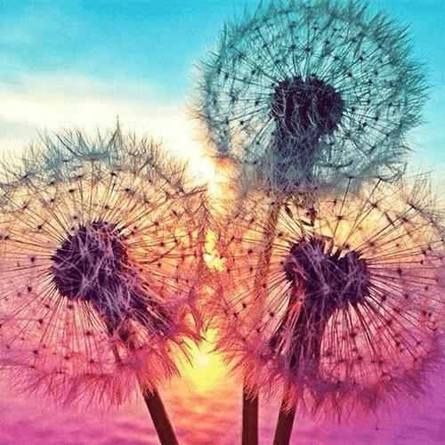 DIY 5D Arts Diamond Painting Full Drill Rhinestone Embroidery Cross Stitch Tool - Picture 27 of 30