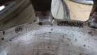 Bild 8 von 8
