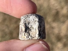 Texas Fossil Mosasaur Vertebrae Cretaceous Age Dinosaur Bone