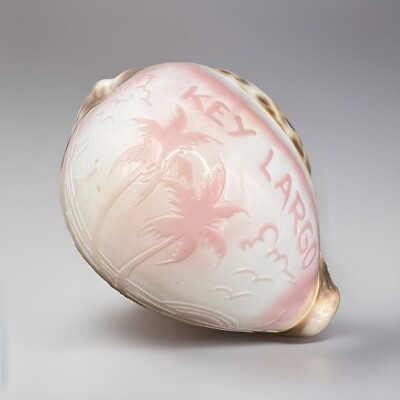 Vintage Key Largo Florida Souvenir Carved Tiger Cowrie Shell 3.5 ...