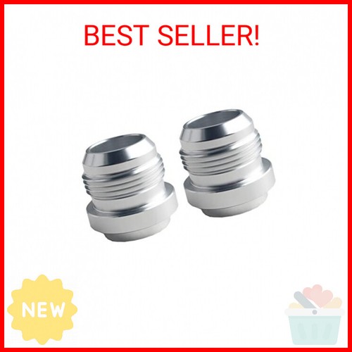 DEWHEL 2PCS AN16 Aluminum -16 AN Male Weld On Weld In Fitting Bung Hose (Silver)