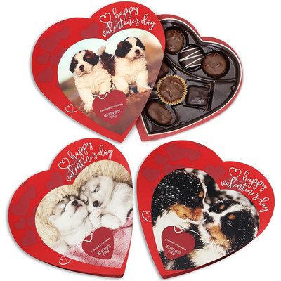 Sampler Assorted Valentine'S Chocolate Heart Gift Box - 3 Pack Milk & Dark Choco