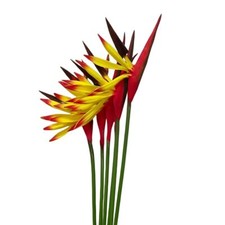 6 Pcs 23" Yellow Artificial Bird of Paradise Flower Strelitzia Bouquets
