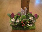 Bild 9 von 10