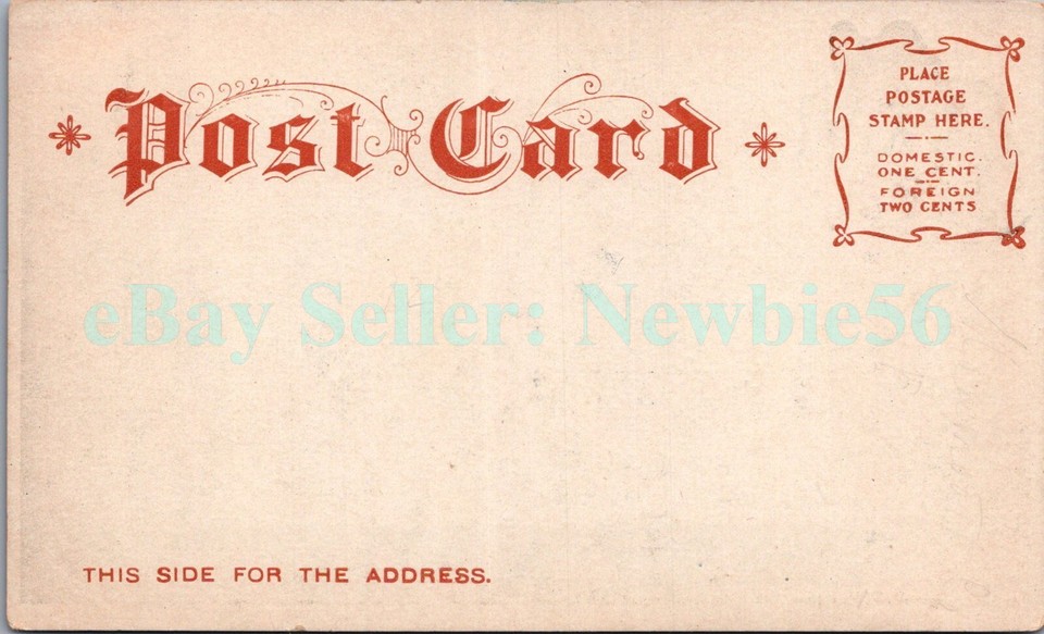 Belmar NJ BOARDWALK FROM PIER Arthur Livingston Postcard eBay