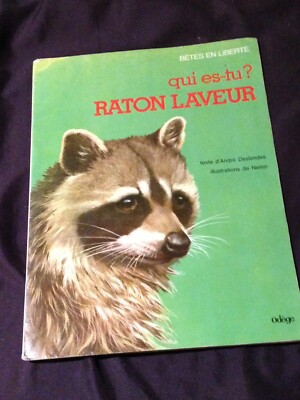 Qui Es-Tu? Raton Laveur