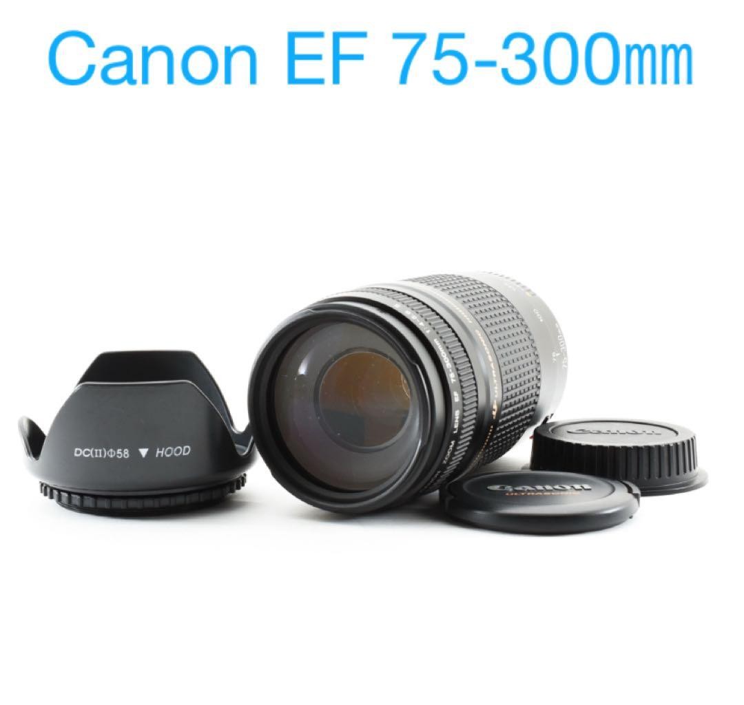 Canon EF 75-300mm F4-5.6 II USM Zoom Lens Excellent Condition | eBay