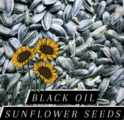 #ad Black OIL SUNFLOWER Seeds Chickens Parrots Wild Birds*Choose Your Size* $6.99