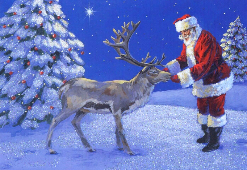 UNUSED Santa Pets Reindeer Christmas Greeting Card Glittered Snow New Robin Moro