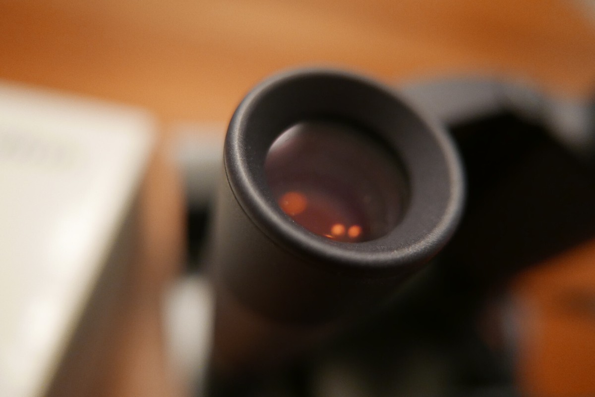 Carl Zeiss 6 x 18 Design Selection binoculars T* P* West Carl Zeiss 6 x 18 Design Selection binoculars T* P* West
