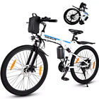 Bicicleta Electrica
