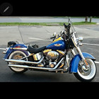 2010 HARLEY DAVIDSON FLSTN