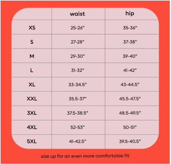 Thinx Hi-Waist Underwear XXL Light Absorbency Incontinence Panties 2X Blackberry