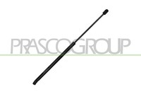 Prasco Gasfeder Heckklappen Kofferraum DäMpfer 355N 537Mm FüR VW Polo AW1 BZ1