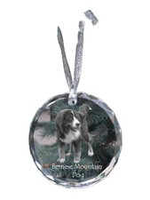 Boyero de montana Bernes, Boyero de Berna, bouvier de Berna medalla de cristal c