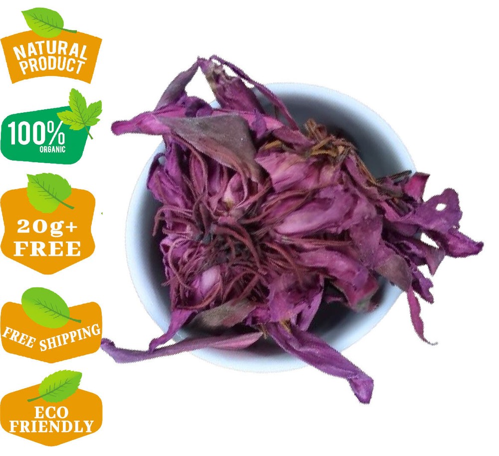 Red Lotus Flower Herbal Tea Dried Hand Pick Nymphaea pubescens Organic Fragrance