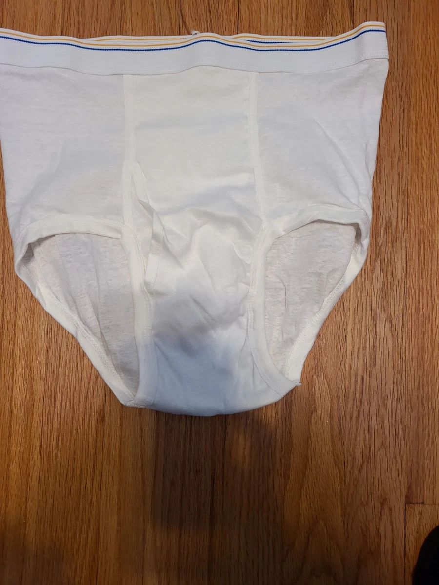 Vintage Fruit of the Loom Size Medium 38-40 Underwear White Briefs Blue Gold