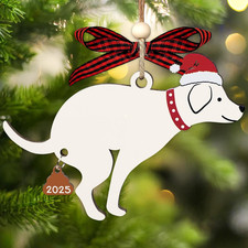 Dog Ornament - 2 Layer Funny Christmas Ornaments 2025 to Tree Decoration - Humor