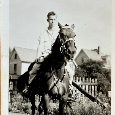Man on Gorgeous Horse VINTAGE PHOTO ORIGINAL SNAPSHOT Animal Stunning Harness