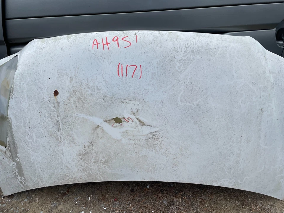 Chrysler Town & Country 1996-2000 capó delantero OEM, 117-01466 Foto 2 de 4