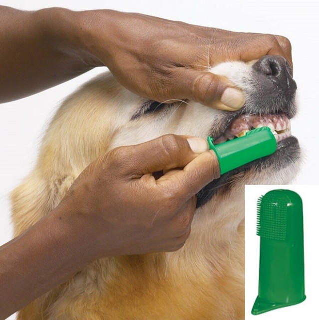 3 PET DOG CAT Finger Pro DENTAL Teeth RUBBER TOOTH BRUSH ORAL CARE