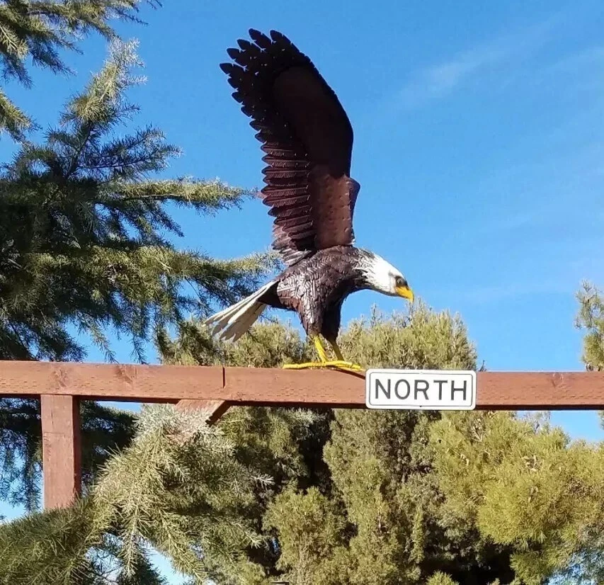American Bald Eagle Large Outdoor Metal Statue Lawn Sculpture Garden Yard Art - Image 3 of 4