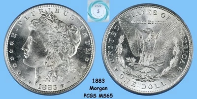 1883 MS65 モーガン 1883 Year Grade MS 65 Morgan Dollars (1878-1921) for sale | eBay