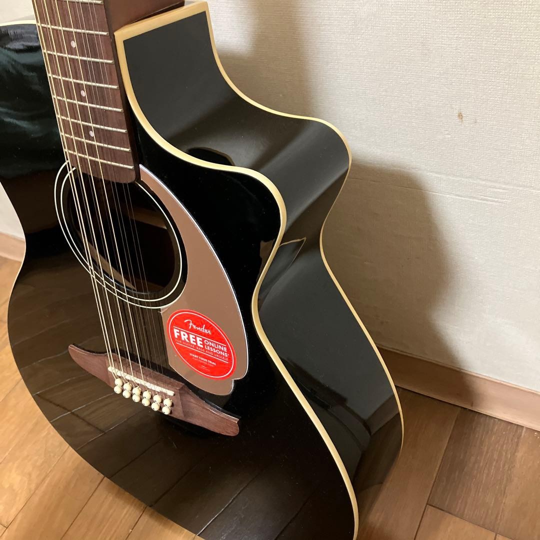 Fender Villager 12-String Black | eBay