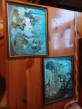 Dufex Vintage Foil Pictures by Artists Janet and Anne Grahame Johnstone. Framed