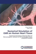 Numerical Simulation of EMR on Human Heart Tissue by Khitam Elwasife Paperback B