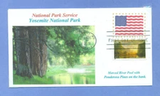 YOSEMITE National Park California Merced River, Color Ponderosa Pine, First Day 