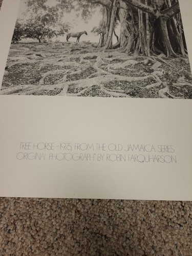 Kunstdruck Baum Pferd alte Jamacia Serie von Robin Farquharson 1975 - Bild 3 von 7
