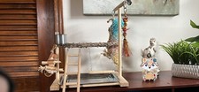 Bird Play Stand