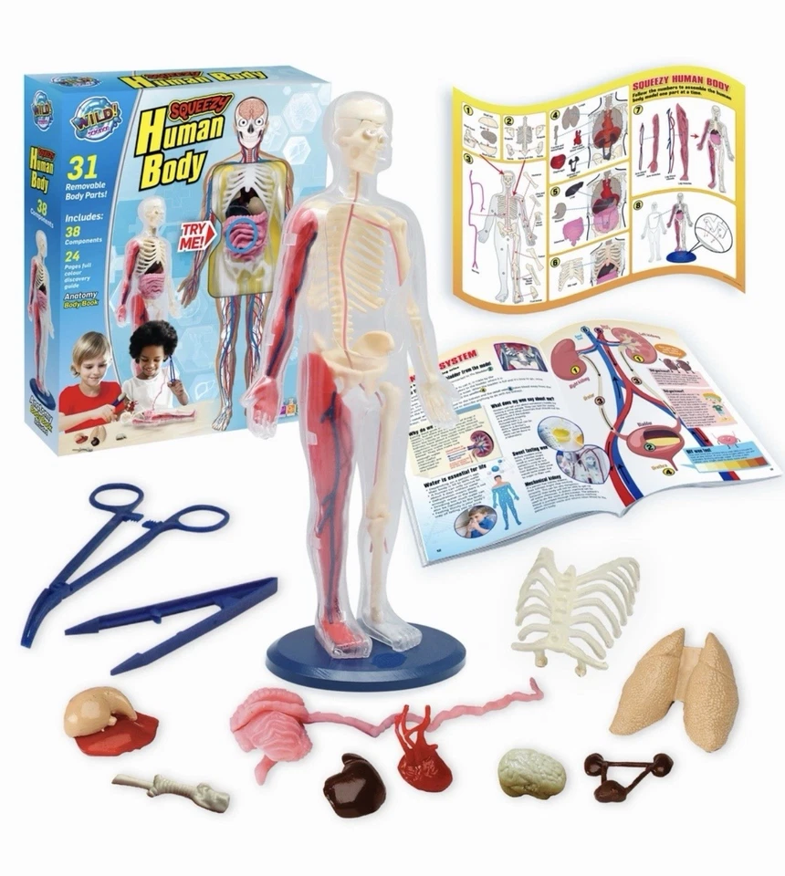 Wild Science Kit Squeezy menschlicher Körper Anatomie Set mit Entdeckungsanleitung für Kinder,