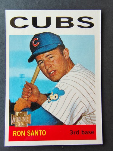2002 Ron Santo #15