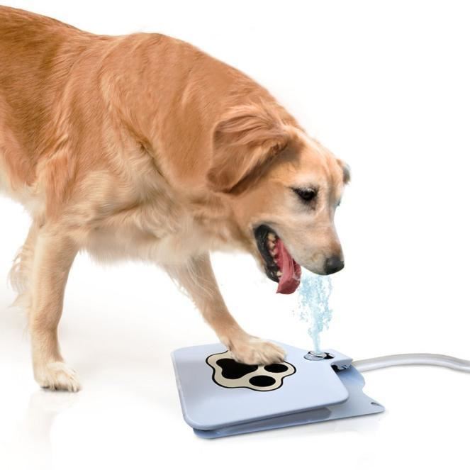 New Qualified Durability Trouble-Free Outdoor Dog Cat Pet Drinking Doggie Water New Qualified Durability Trouble-Free Outdoor Dog Cat Pet Drinking Doggie Water
